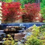 The Dallas Arboretum and Botanical Garden