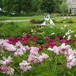 Boerner Botanical Gardens