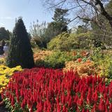Longwood Gardens