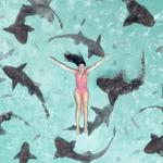 Swim with the Sharks at Compass Cay