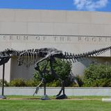 Museum of the Rockies