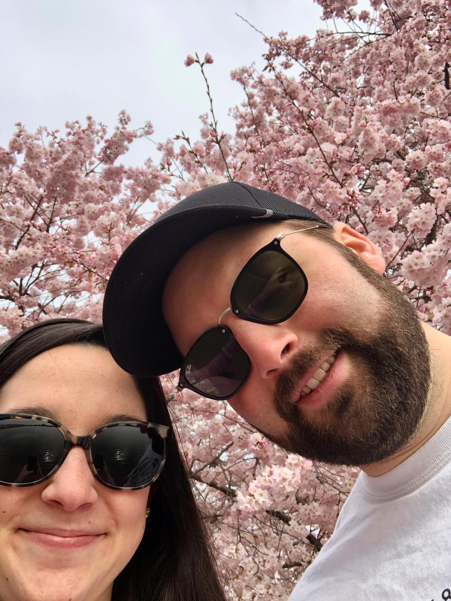 Enjoying the cherry blossoms in DC, March 2019