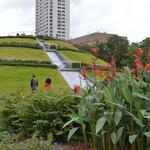 Hermann Park Conservancy