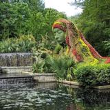 Atlanta Botanical Garden