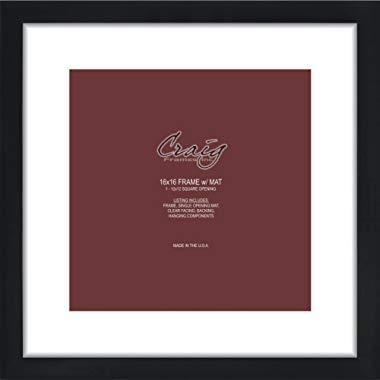 Craig Frames Picture Frame, 16 x 16, 500161601B14A 12x12 Mat Opening-16x16