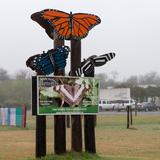 National Butterfly Center