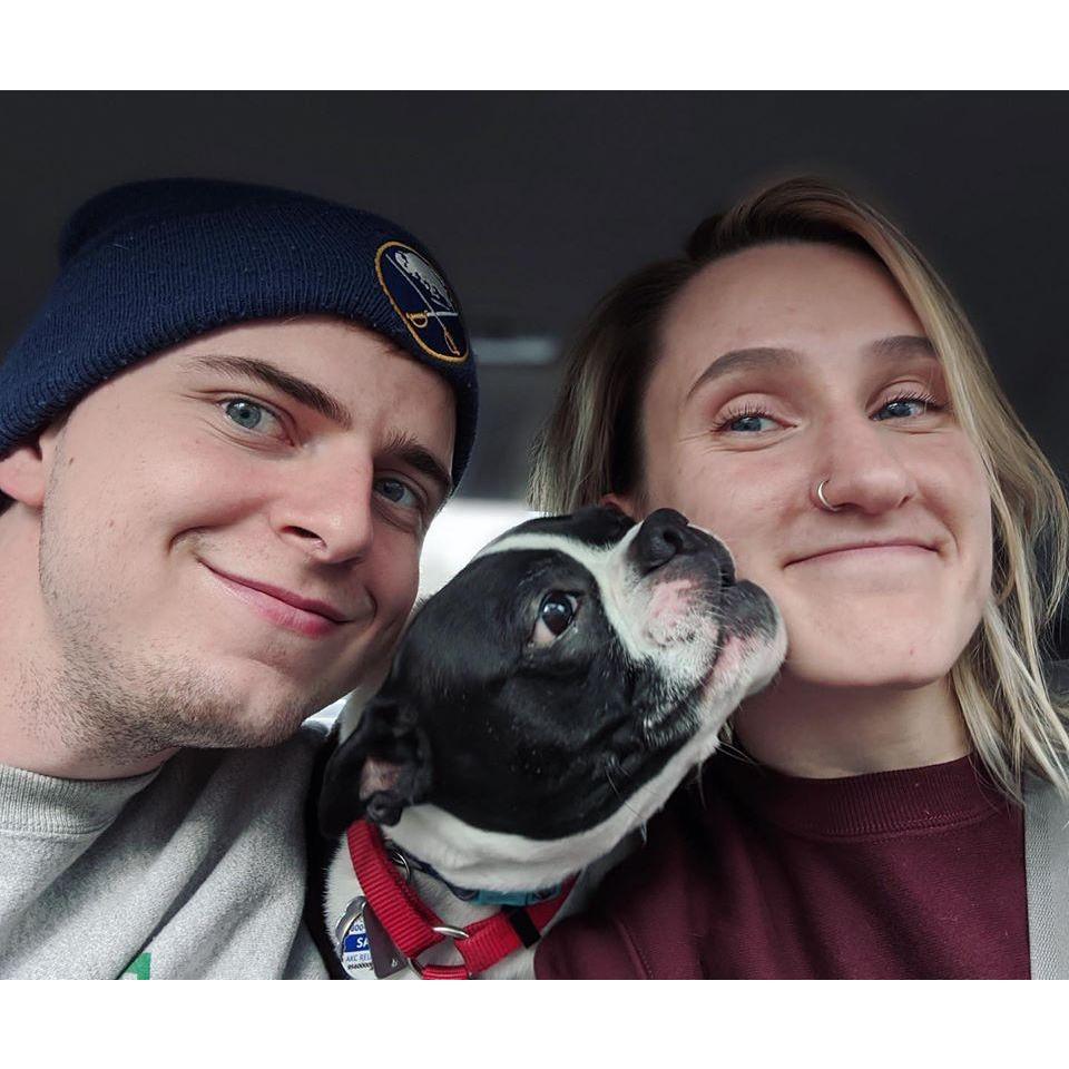 Three little turkeys en route to Kentucky Thanksgiving