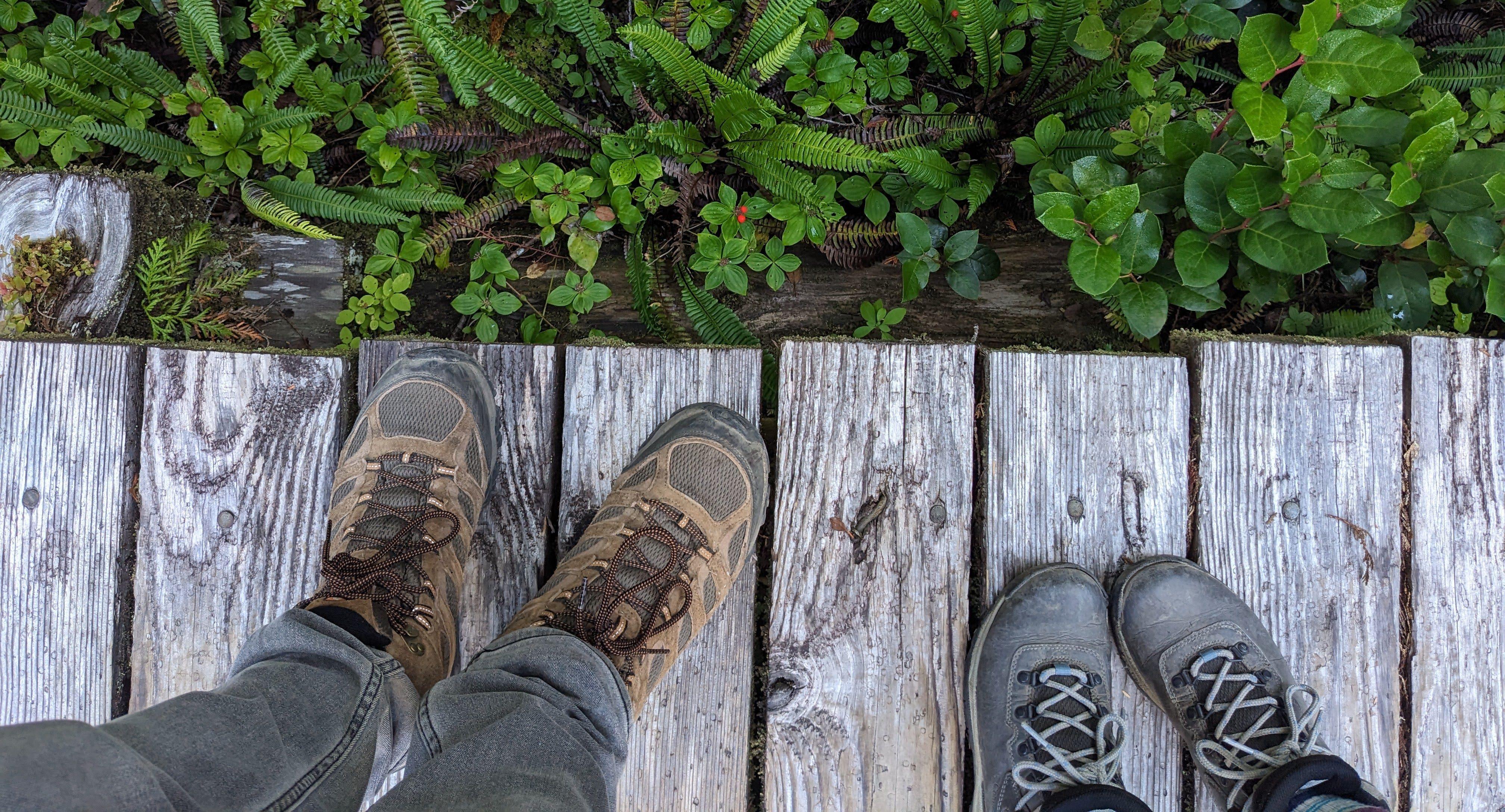 b82031a2-aeff-4f51-9903-ae507987b931