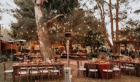 The Wedding Website of Yvonne Gonzalez and Sergiu Andrici