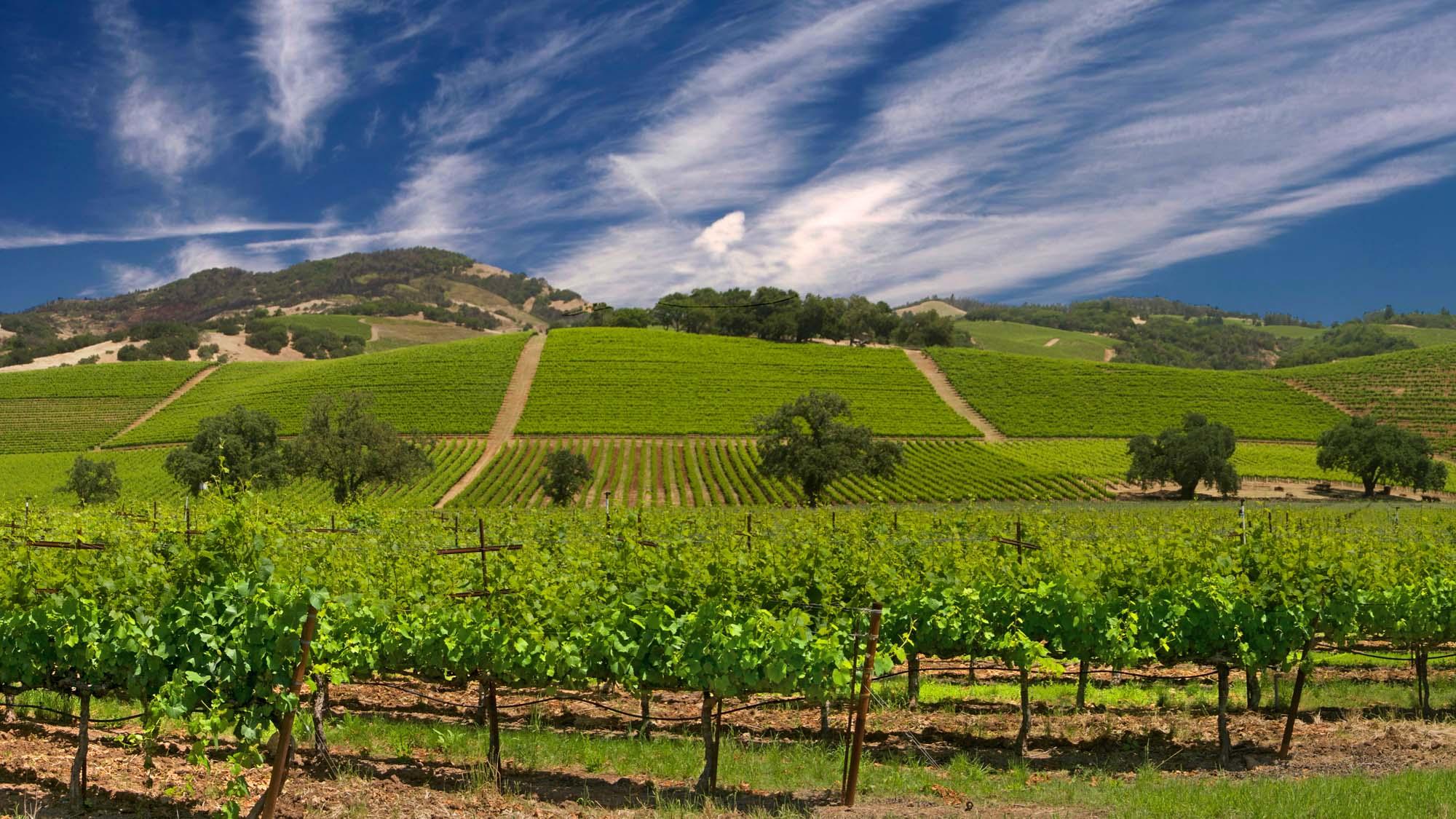 The Wedding Website of Stephanie Sanchez and Dylan Severson