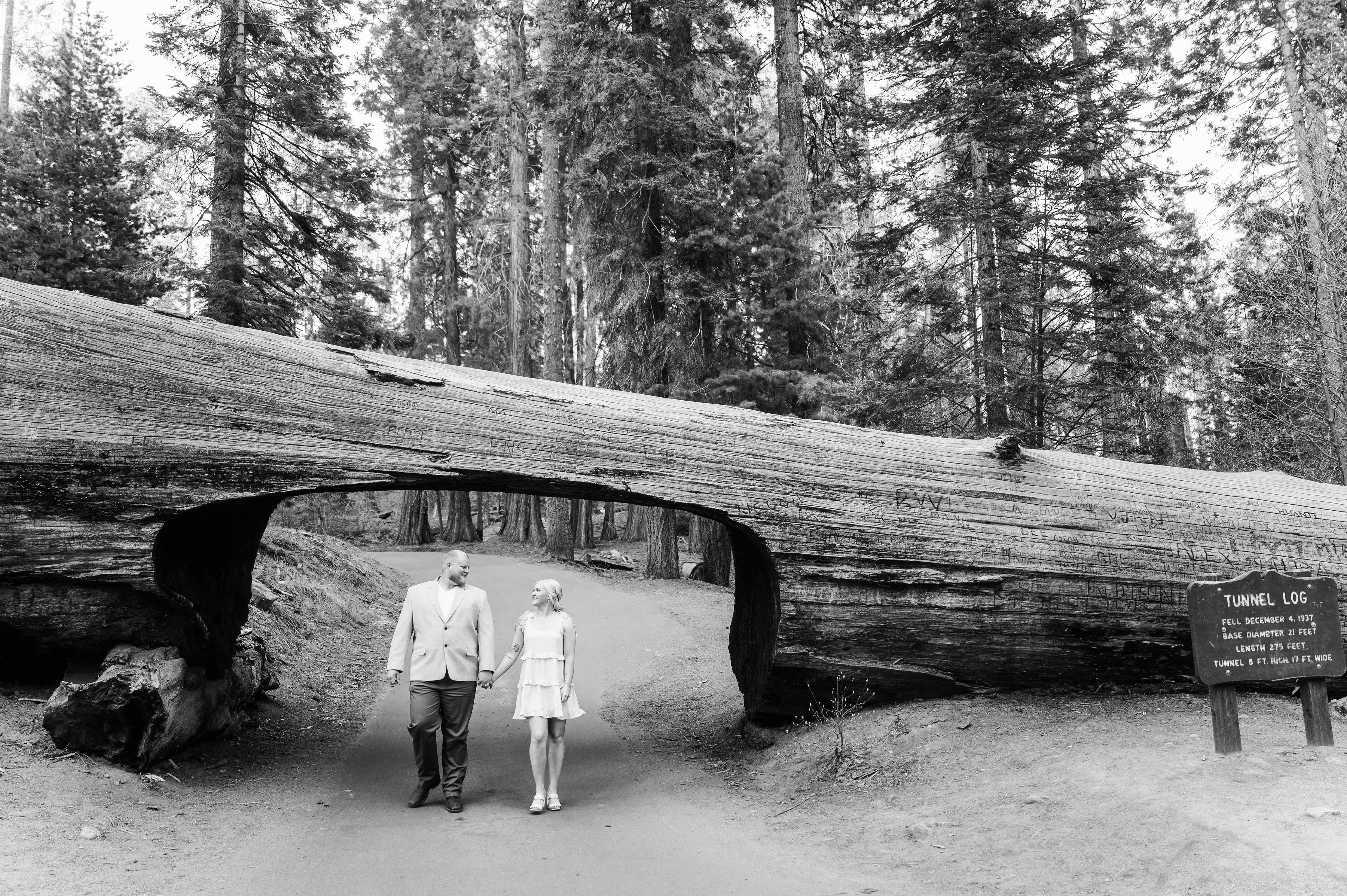 The Wedding Website of Alex Herrmann and Lauren Harvath