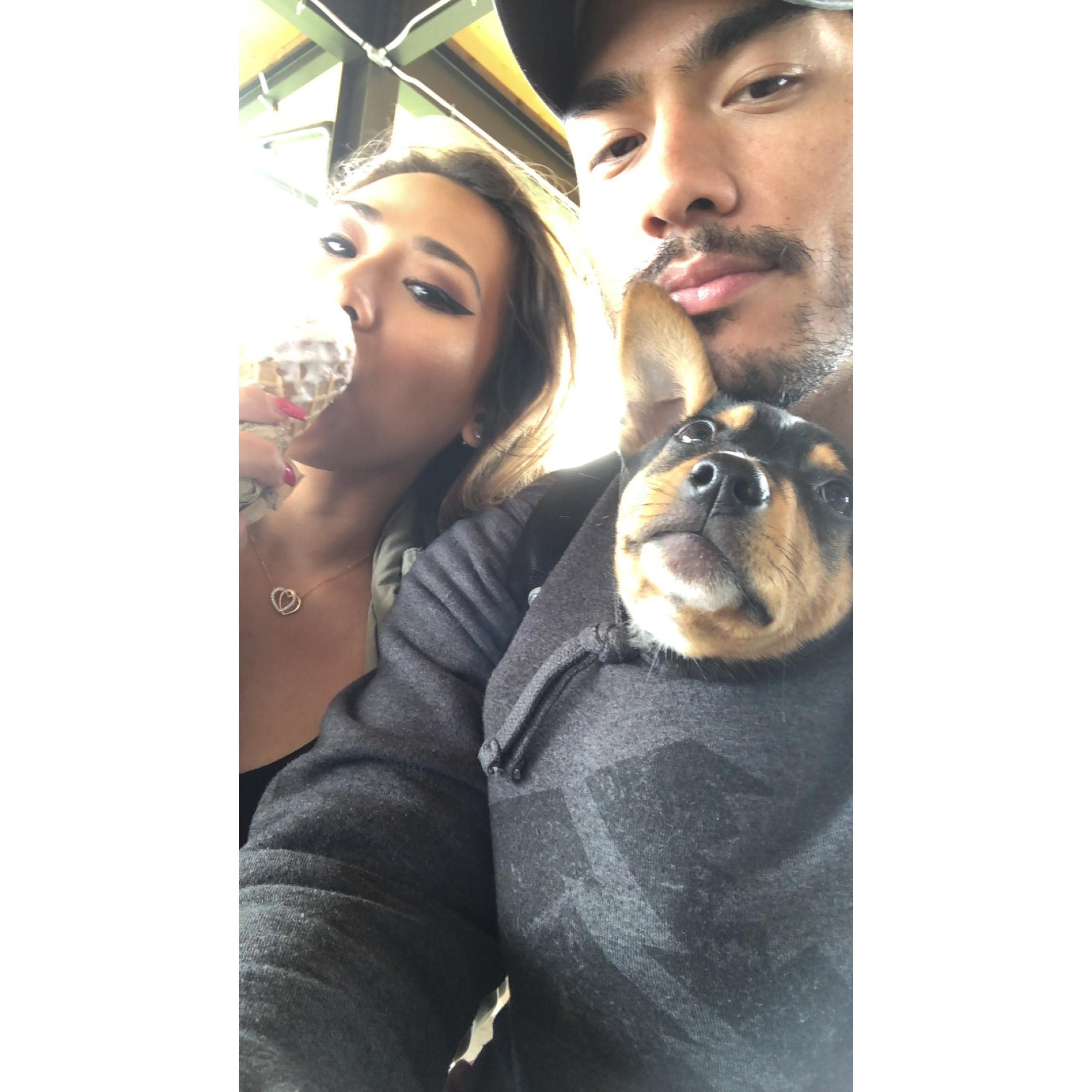 Koa's first time in Tillamook, Oregon. August, 2018.