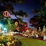 Celebration in the Oaks