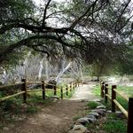 Dripping Springs Trailhead
