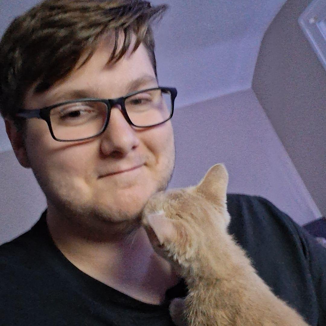 The day we got our kitten