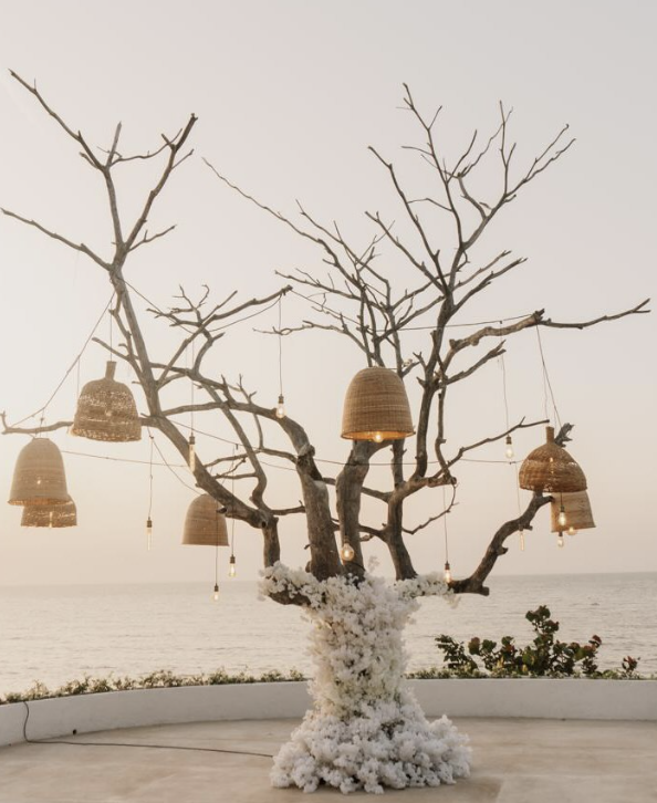 The Wedding Website of Sophia Restrepo and Jordan Vargas