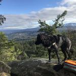 Oyster Dome Trailhead