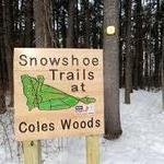 Coles Woods Snowshoe and Ski Trails