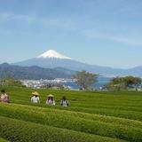 Nihondaira Ocha-Kaikan
