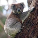 Riverbanks Zoo & Garden