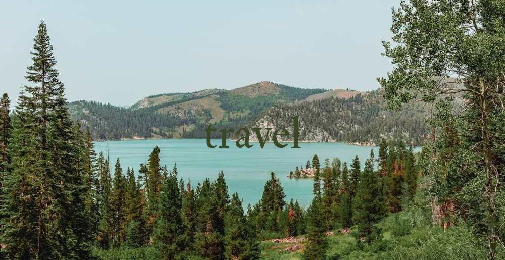 The Wedding Website of Gabby Occhipinti and Andy Woodruff