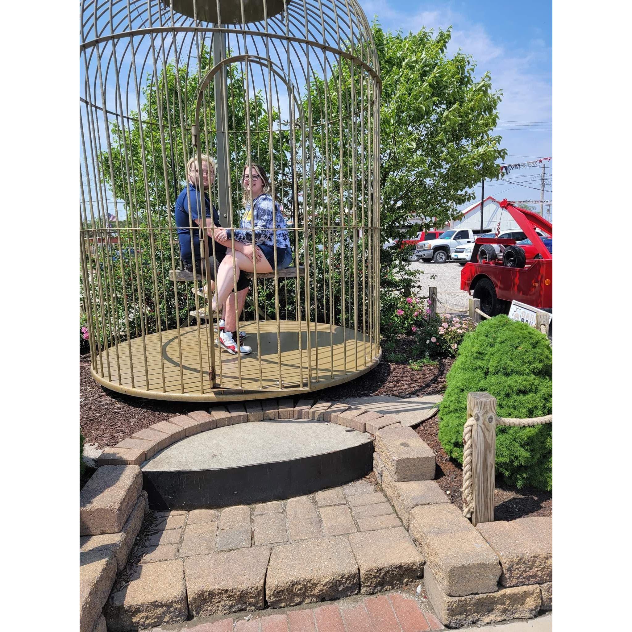 Two caged animals living life to the fullest