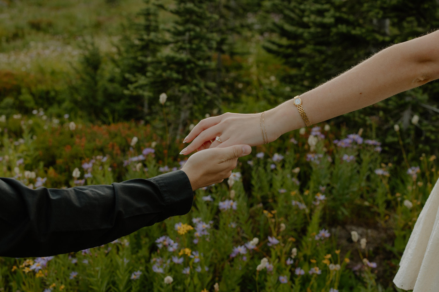 The Wedding Website of Amy Burggraaf and Nick Grabicki