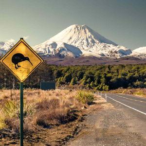 New Zealand Honeymoon Adventure!