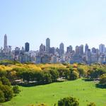 Central Park