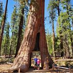 Yosemite National Park