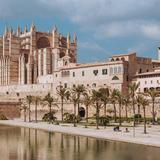 Palma
