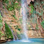 Ein Gedi