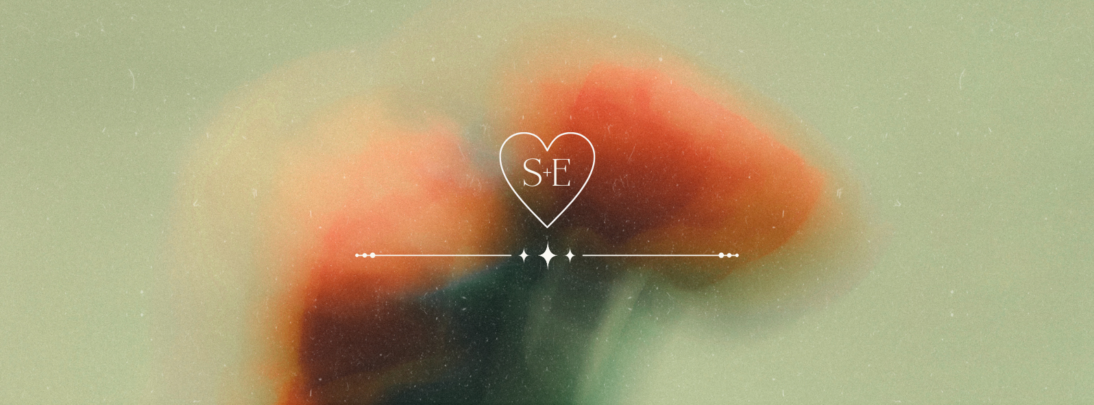 The Wedding Website of Elle Collings and Sean Skillern