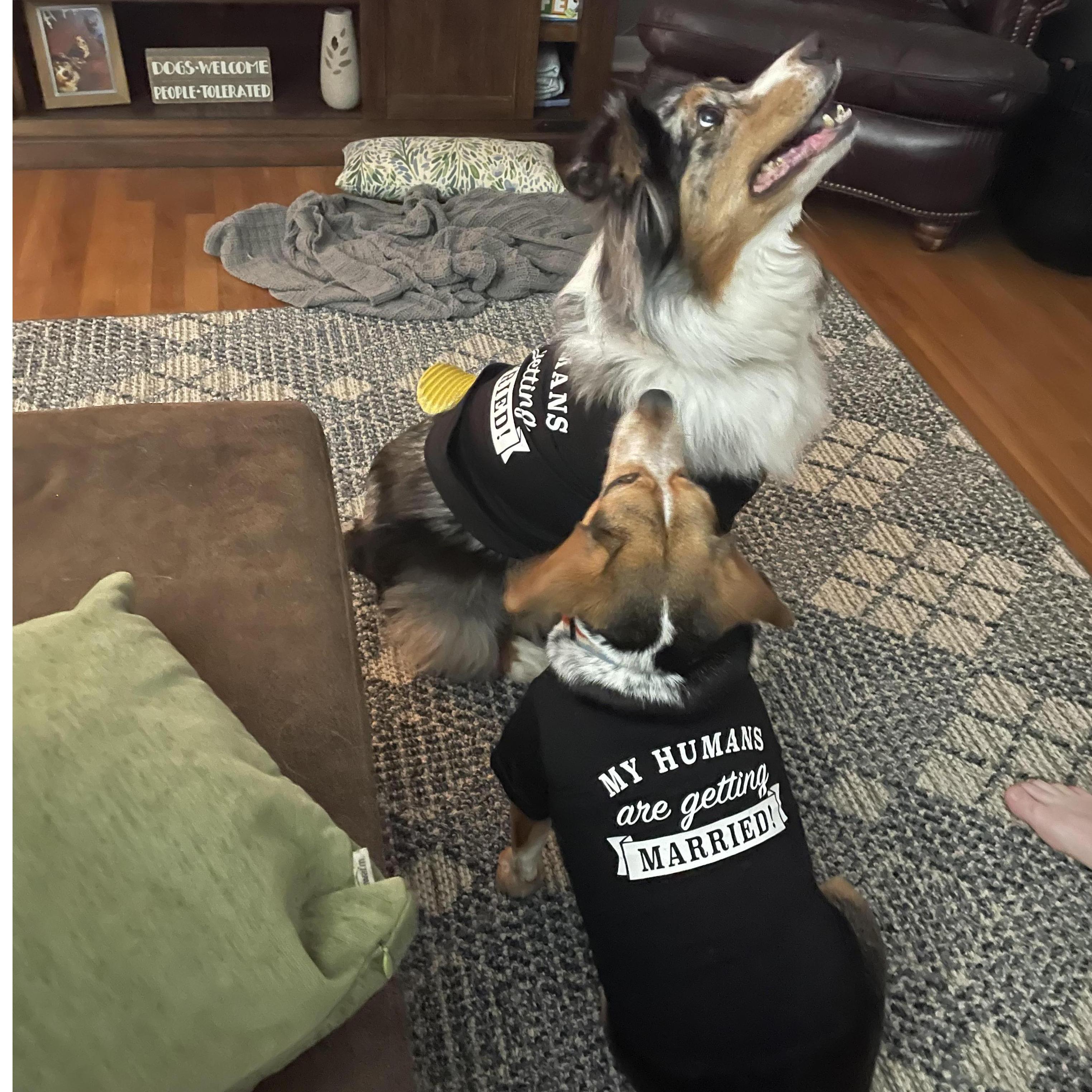 December 2021 - new shirts