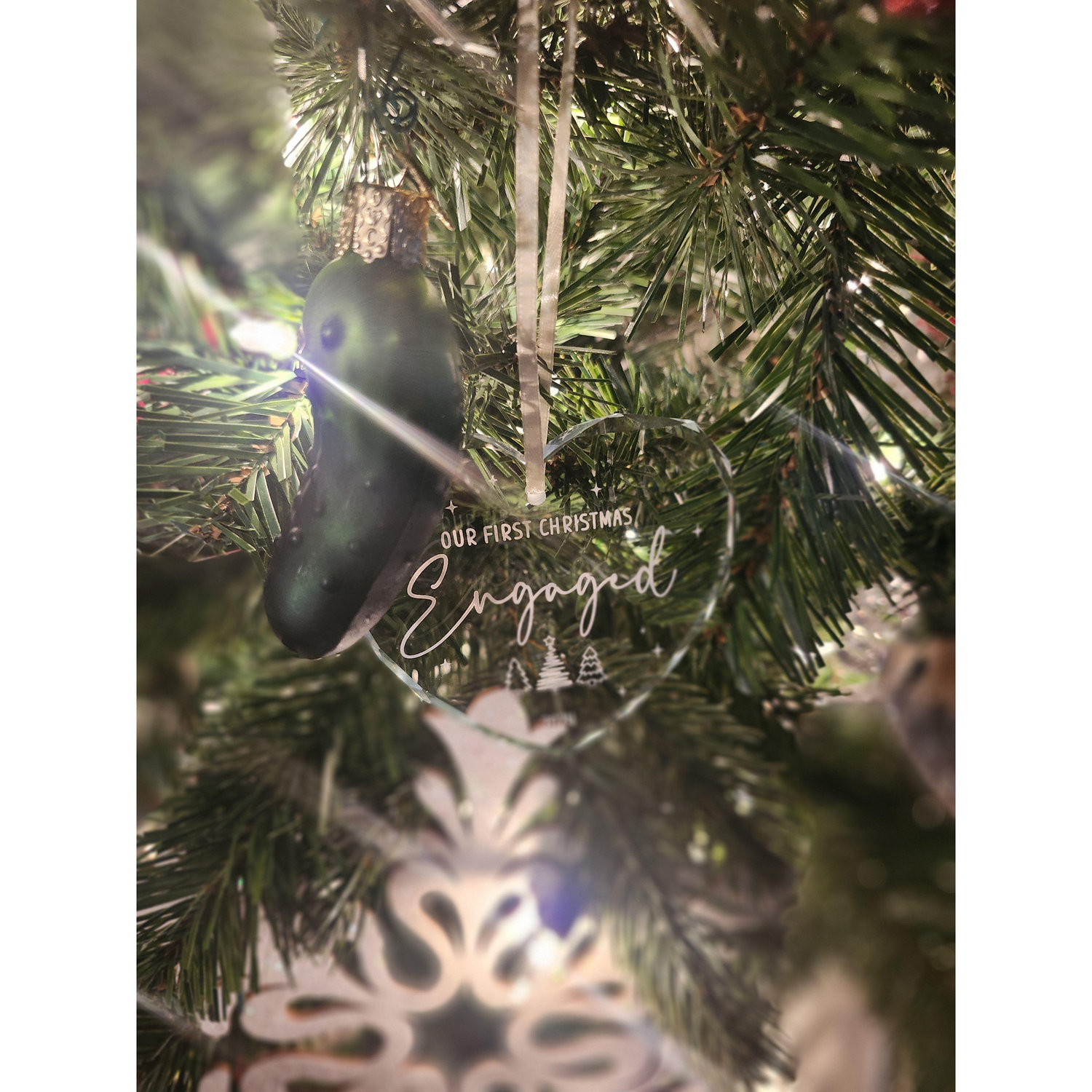 Pickle proposal 12/12/24