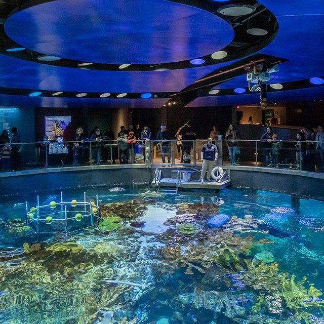Tickets to the Aquarium in Boston - New England Aquarium