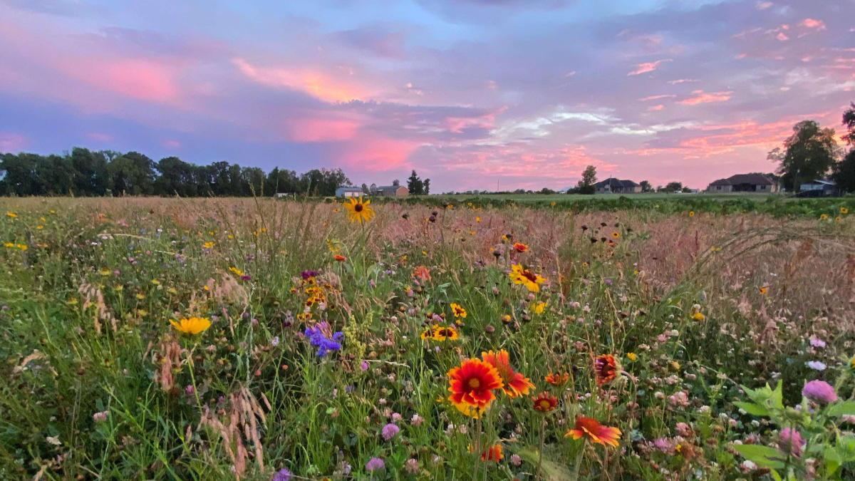 The Wedding Website of Julia Cassel and Michael Herrick