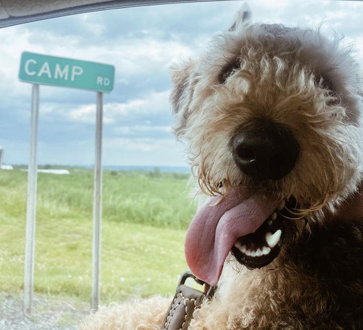 The Wedding Website of Talia Tesler and Sam Chussid