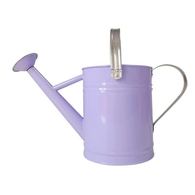 Metal Watering Can for Outdoor and Indoor Plants, Watering Can Decor, 1 Gallon (Purple)