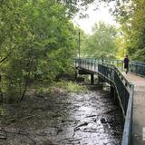 Tennessee Riverwalk