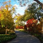The Dallas Arboretum