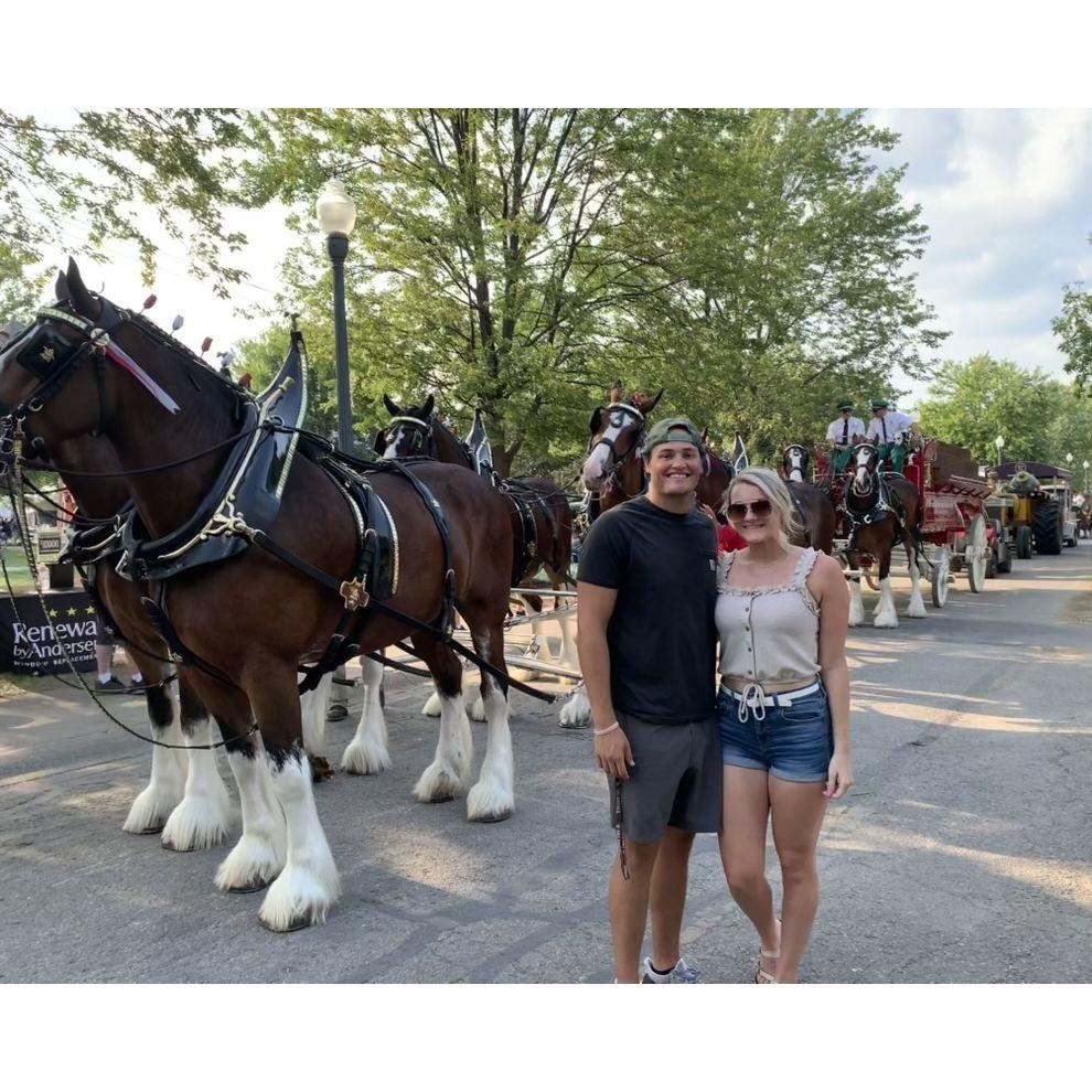 Budweiser Clydsdales hold a special place in our heart