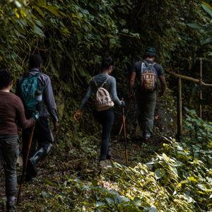 Gorilla Trek Porter Support