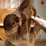 Boonshoft Museum of Discovery