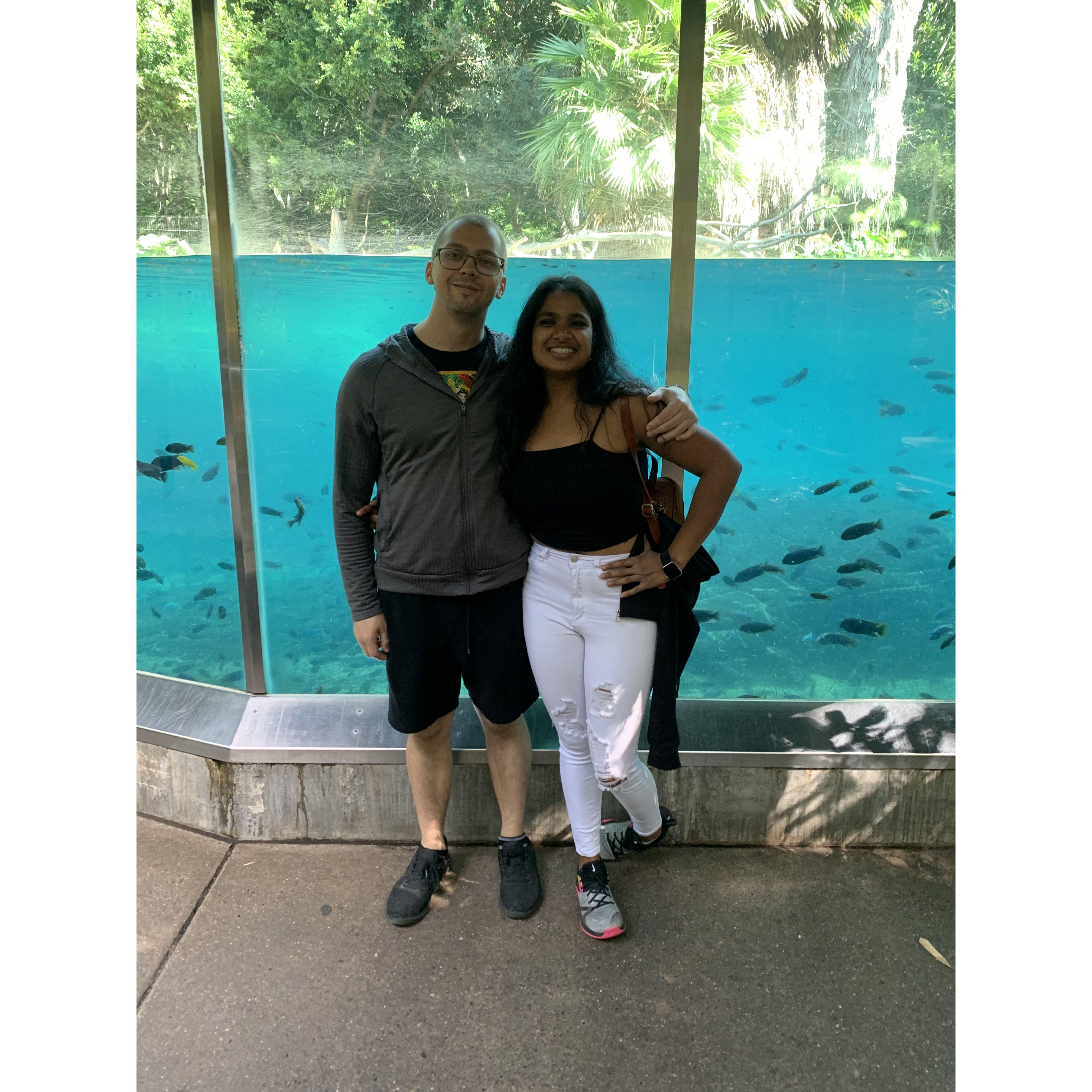 San Diego Zoo: where we learned lions roar and Jessica really knows her plants. Shoutout to our favorite flora-loving photographer/bridesmaid!