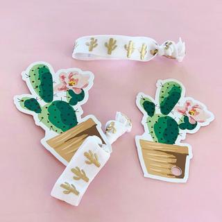 Cactus Hair Ties, Set of 6