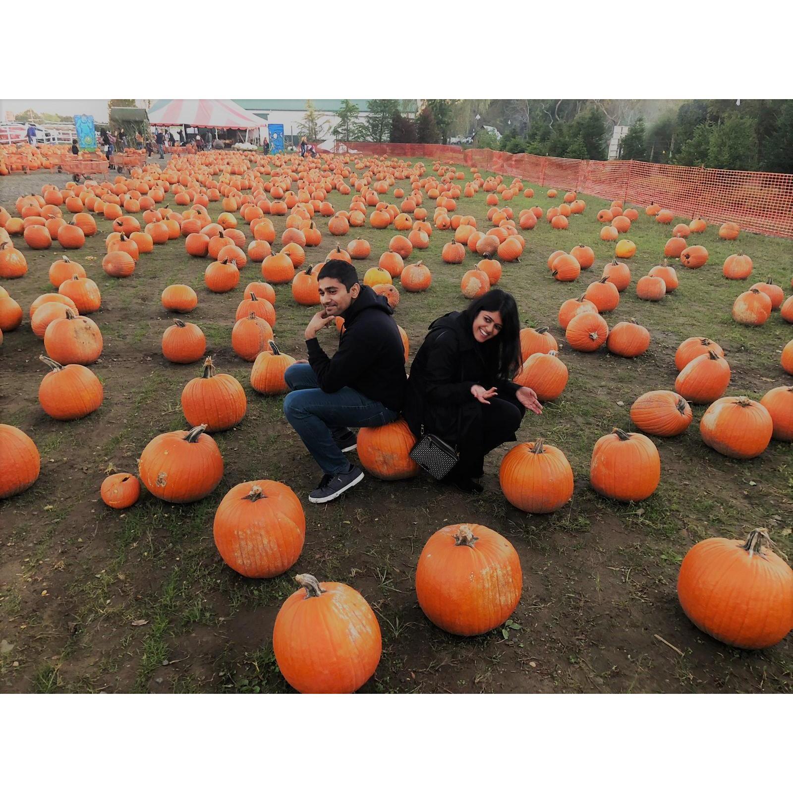 Just a couple of pumpkins hangin' around