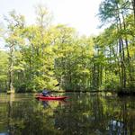 Robertson Millpond Preserve