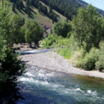 Fly Fishing