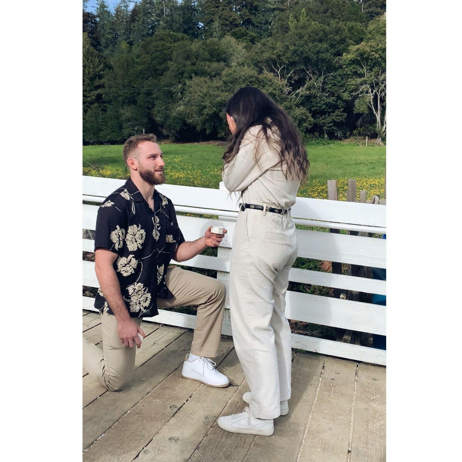 March 28th, 2024 - "Will you marry me?"